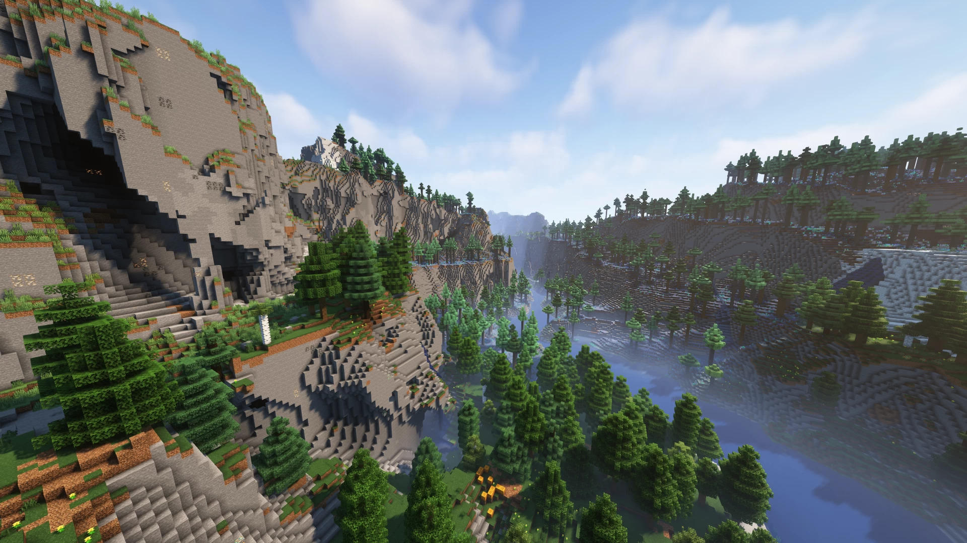 Image de survie